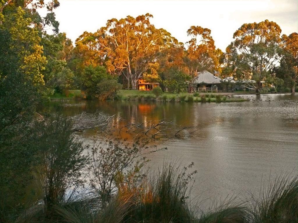 The Burrow At Wombat Bend Villa Dixons Creek Szoba fotó
