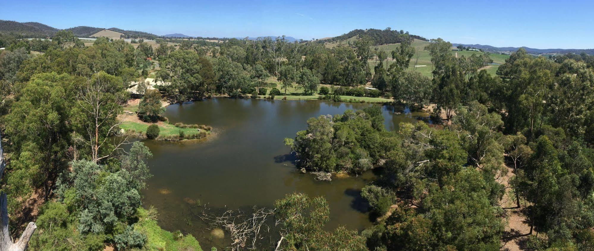 The Burrow At Wombat Bend Villa Dixons Creek Kültér fotó