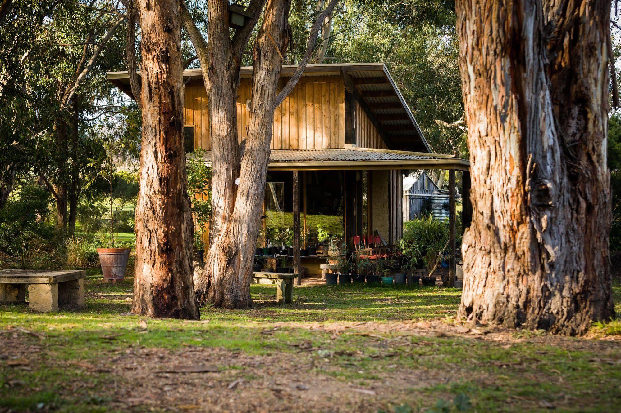 The Burrow At Wombat Bend Villa Dixons Creek Kültér fotó